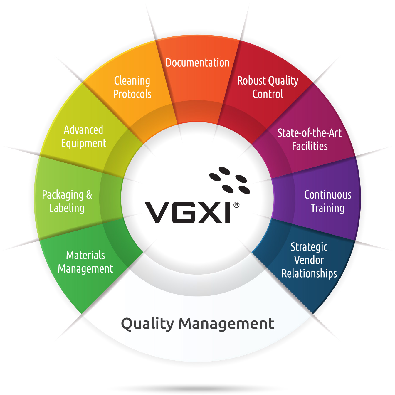 VGXI Quality Management Diagram
